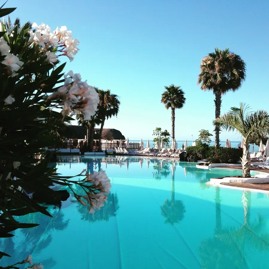 Hotel pool in Orlando FL with palm trees, clear water, and luxury seating