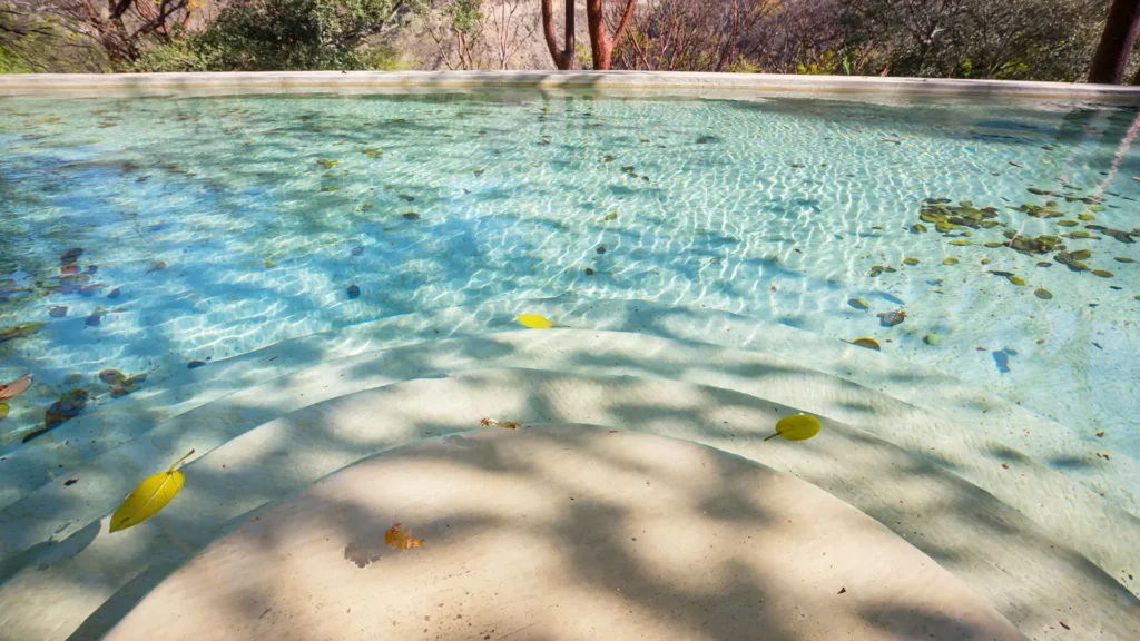 Port Charlotte pool services for a clean and pristine pool