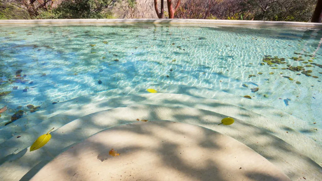 Leaves floating on the surface of a backyard pool with signs of hard water.