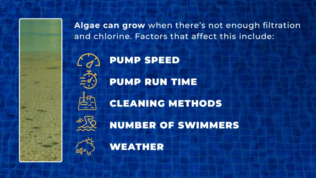 Infographic showing factors that cause yellow algae