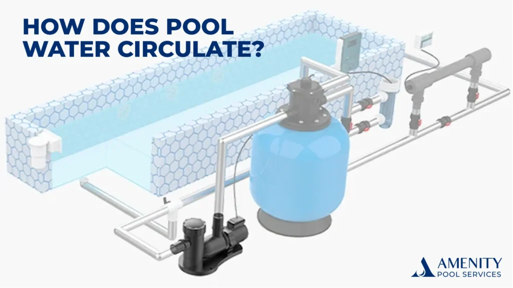 Infographic on pool water circulation process: pump, filter, heater, return jets.