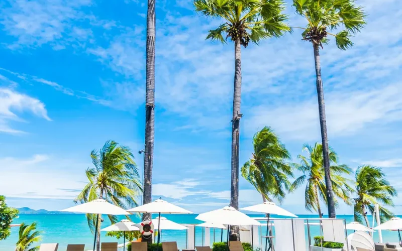An awesome commercial pool by the side of Miami Beach with crystal-clear water and luxurious surroundings